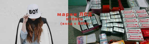 стаф Бердск