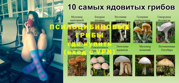 гидра Абдулино