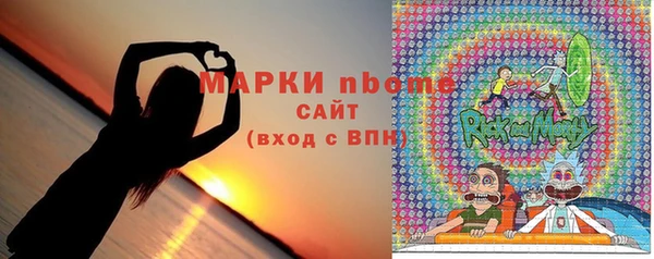 шишки Пестово