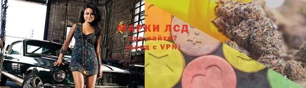 шишки Пестово